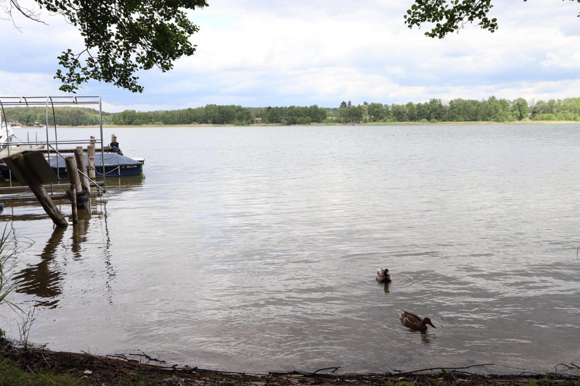 Ferienwohnung Amsel Rheinsberg Exteriör bild